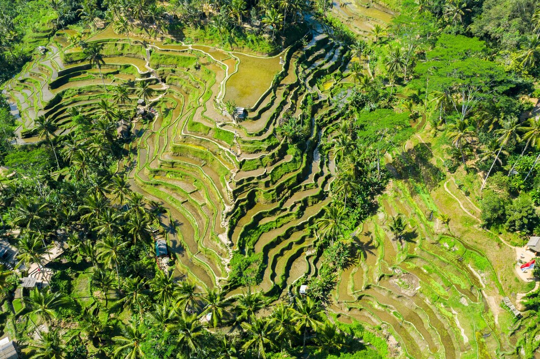 Mengapa Banyak Orang Asing Menganggap Bali adalah Sebuah Negara yang Berdiri Sendiri?