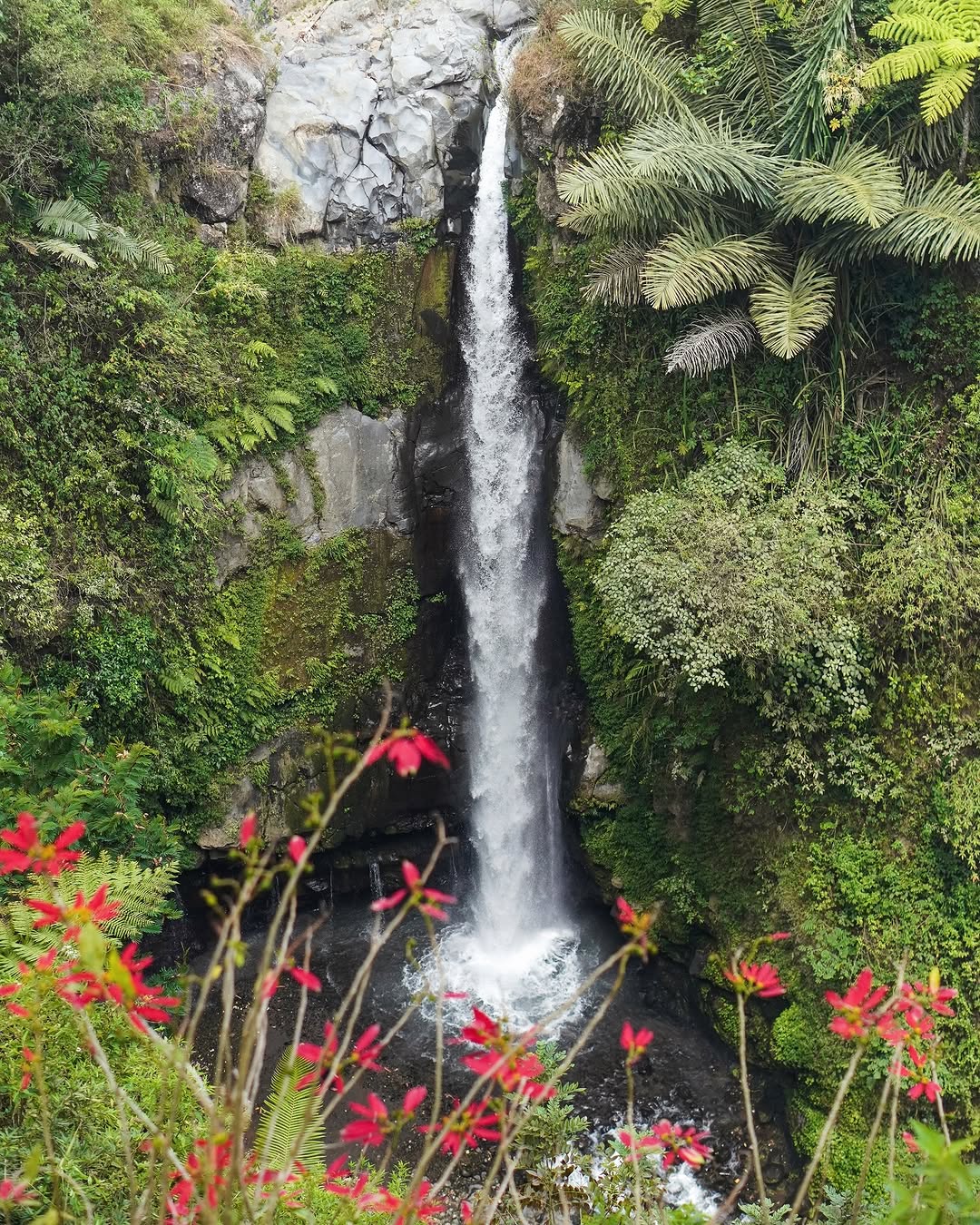 Air Terjun Kedung Kayang