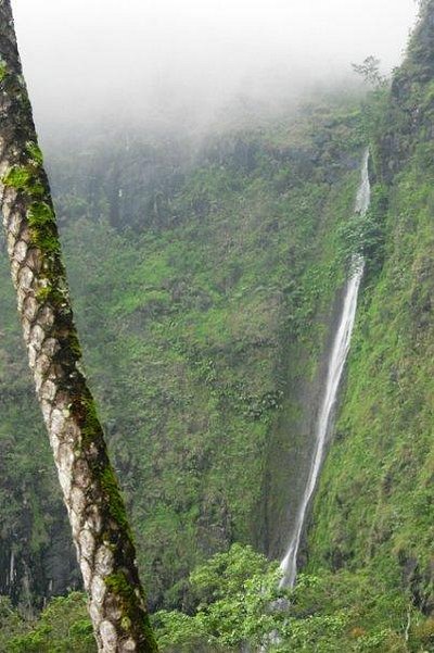 Air Terjun Sedudo