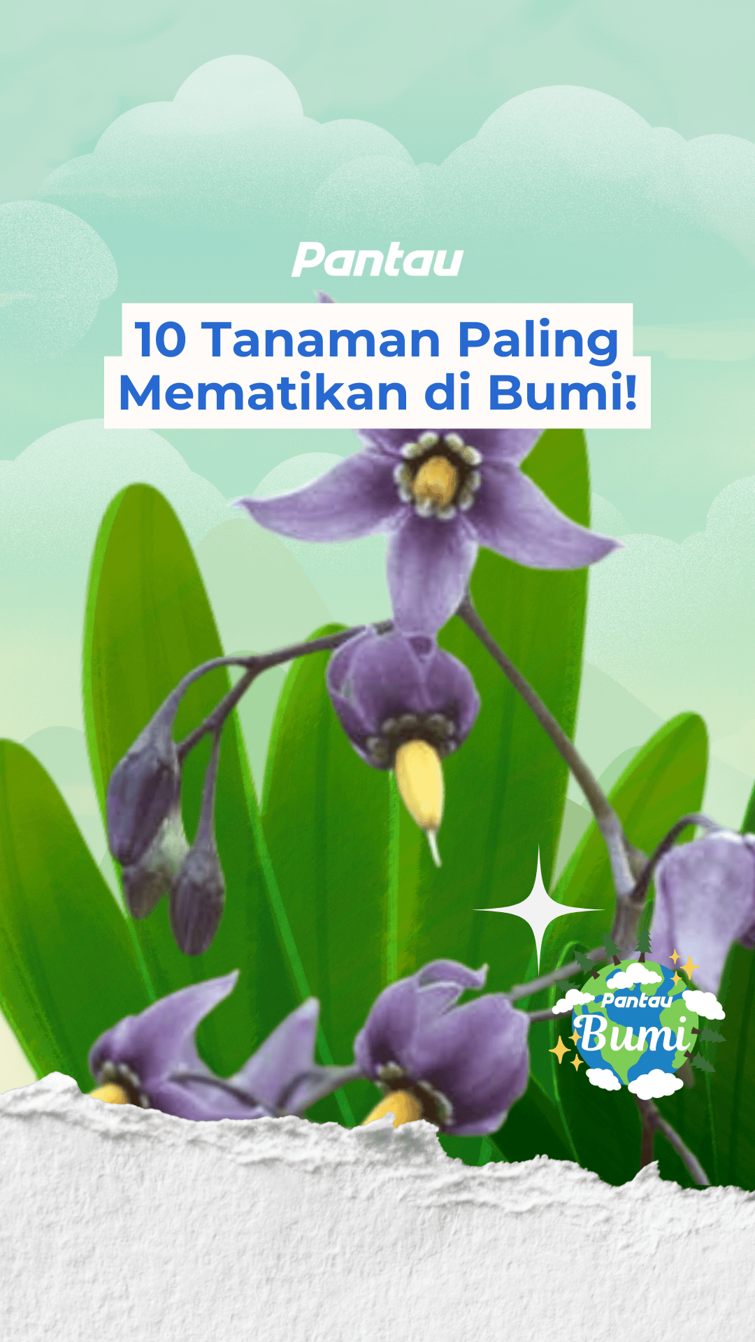 10 TANAMAN PALING MEMATIKAN DI BUMI