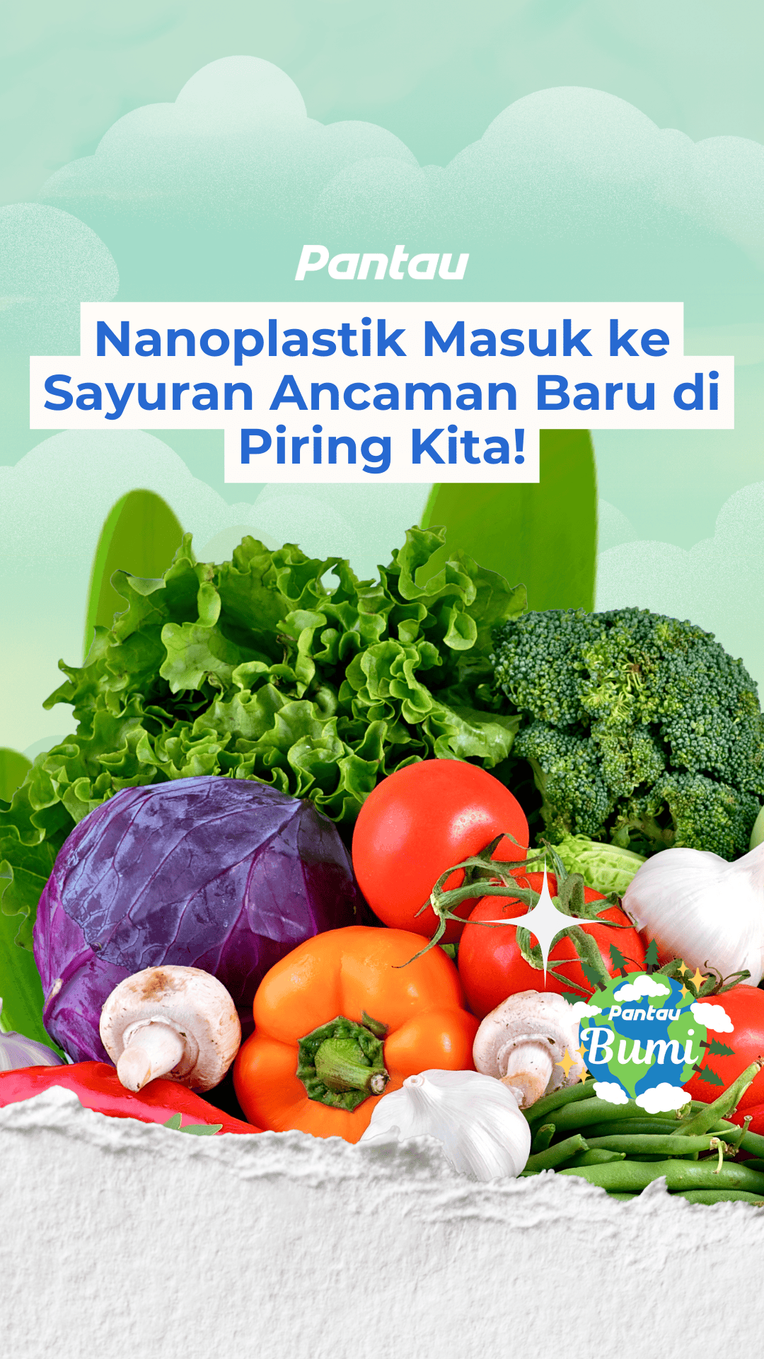 NANOPLASTIL MASUK KE SAYURAN ANCAMAN BARU DI PIRING KITA!