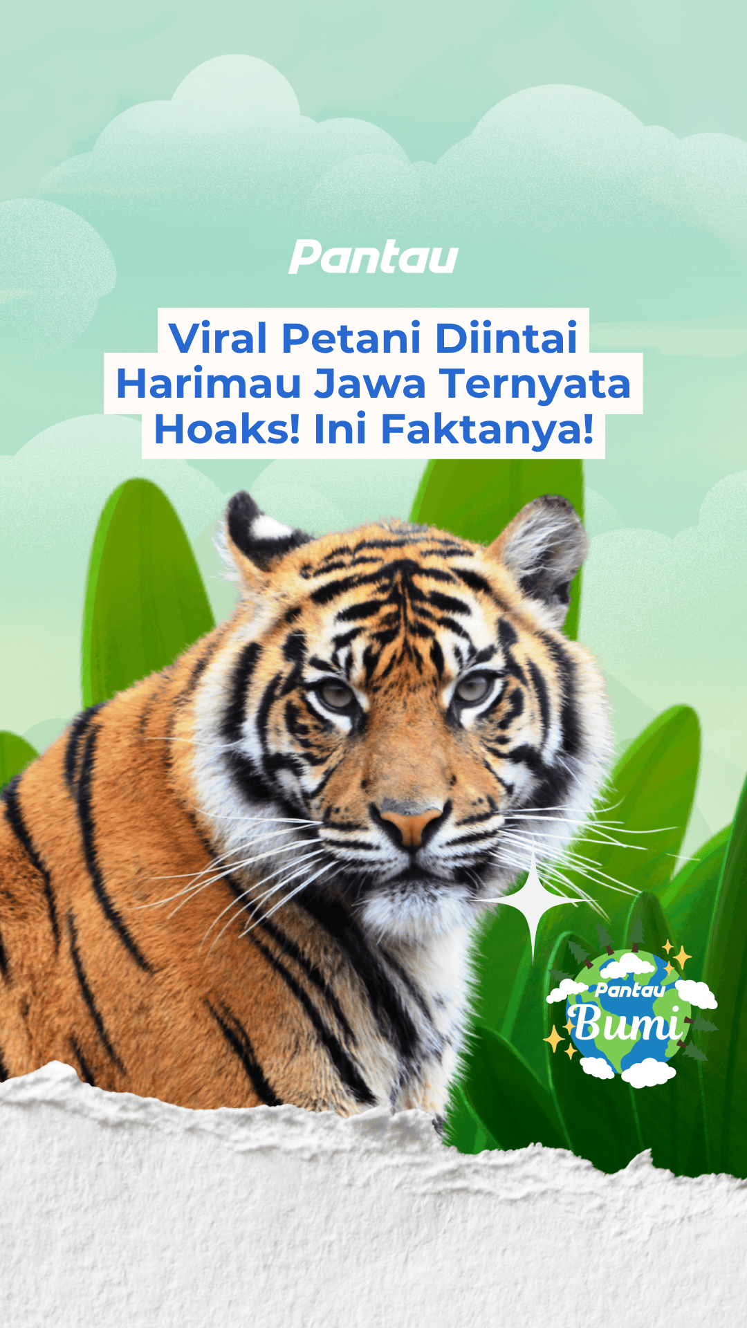 VIRAL PETANI DIINTAI HARIMAU JAWA TERNYATA HOAKS! INI FAKTANYA!