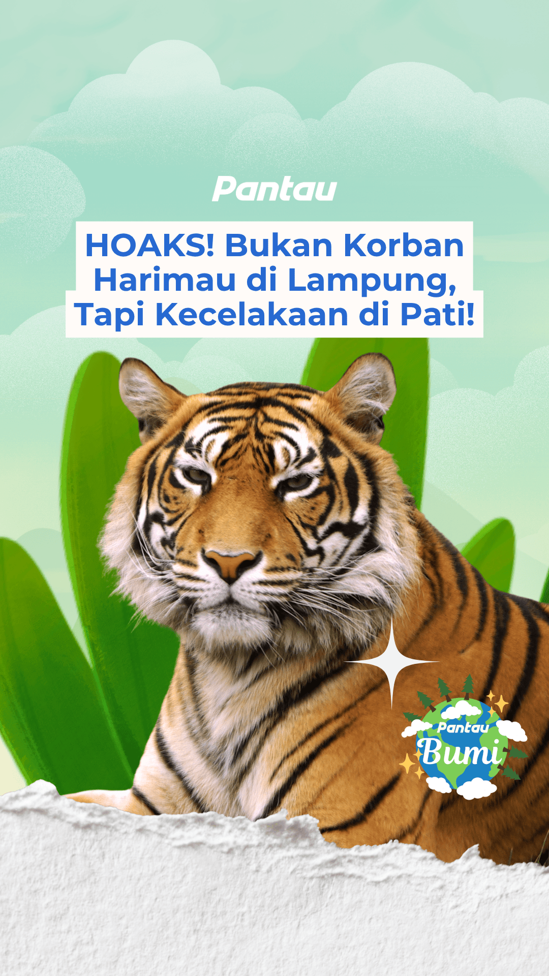 HOAKS! BUKAN KORBAN HARIMAU DI LAMPUNG, TAPI KECELAKAAN DI PATI!