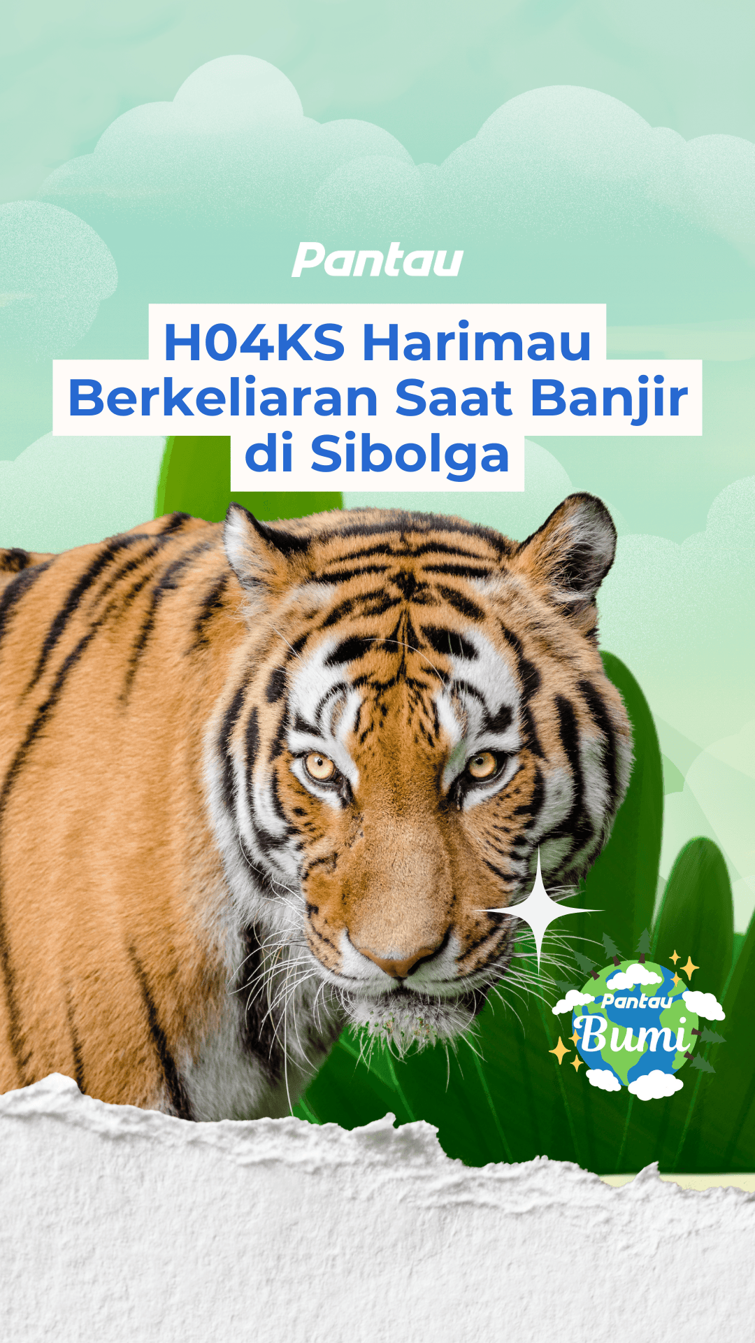 HOAKS HARIMAU BERKELIARAN SAAT BANJIR DI SIBOLGA