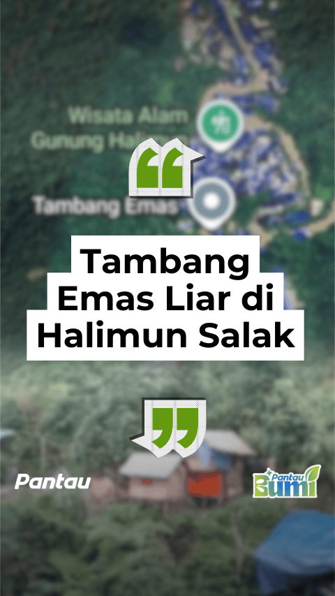 TAMBANG EMAS LIAR DI HALIMUN SALAK