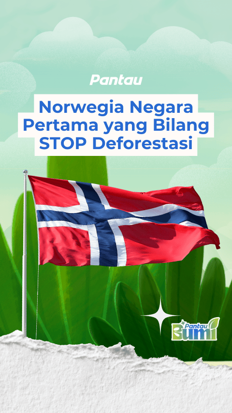 NORWEGIA NEGARA PERTAMA YANG BILANG STOP DEFORESTASI