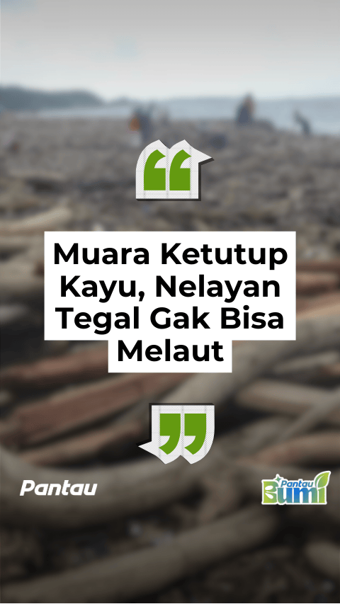 MUARA KETUTUP KAYU, NELAYAN TEGAL GAK BISA MELAUT