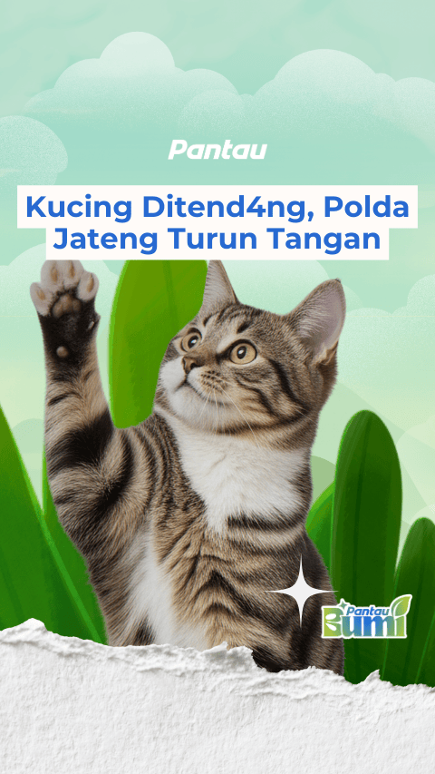 KUCING DITENDANG POLDA JATENG TURUN TANGAN