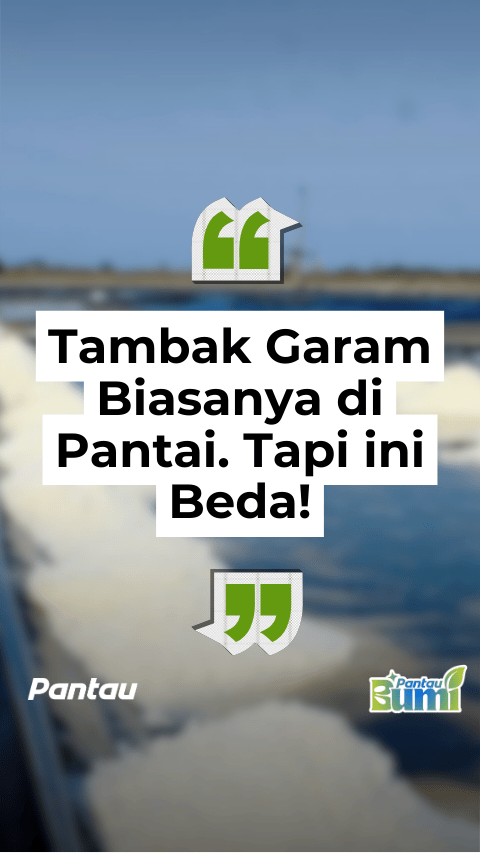 TAMBAK GARAM BIASANYA DI PANTAI. TAPI INI BEDA!