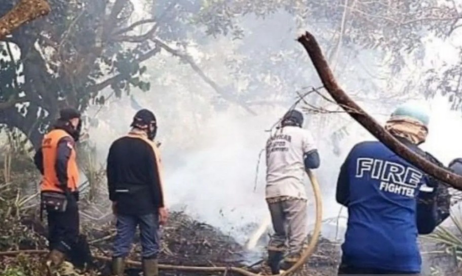 Karhutla Kepung Kalimantan Barat, 435 Ribu Hektare Lahan Terbakar di 13 Daerah