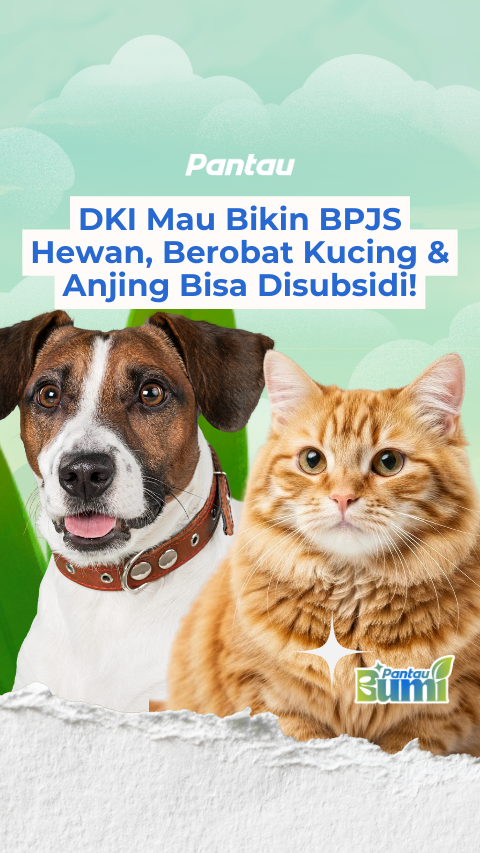 DKI MAU BIKIN BPJS HEWAN