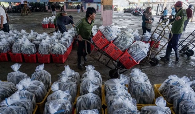 Perang Teluk Jadi Alarm Ketahanan Perikanan Indonesia di Tengah Tekanan Global