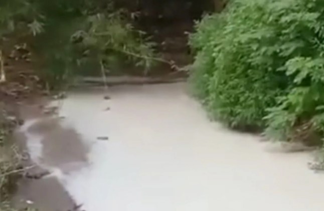 DLH Karawang Uji Laboratorium Air Sungai yang Diduga Tercemar Limbah Pabrik Kertas