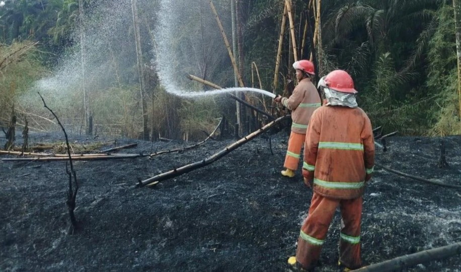 Kebakaran Hutan di Simalungun Meluas Empat Hektare, BNPB Sebut Cuaca Ekstrem Jadi Pemicu