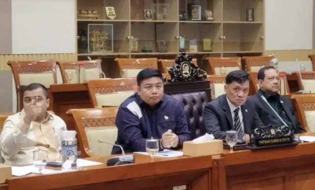 Anggota DPR Nilai Presiden Prabowo Sangat Peduli Ekonomi Kreatif dalam Respons Kasus Amsal Sitepu