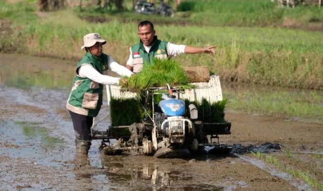BRIN Dorong Adaptasi Teknologi Pertanian untuk Hadapi Ancaman Perubahan Iklim Global