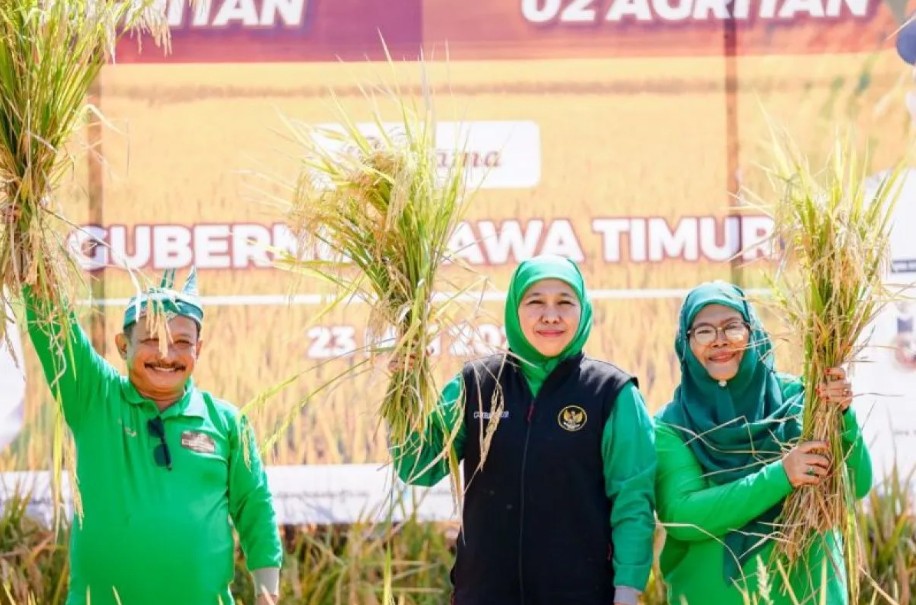 Gubernur Khofifah Instruksikan Kepala Daerah Perkuat Strategi Hadapi Kemarau 2026 Demi Jaga Produksi Pangan