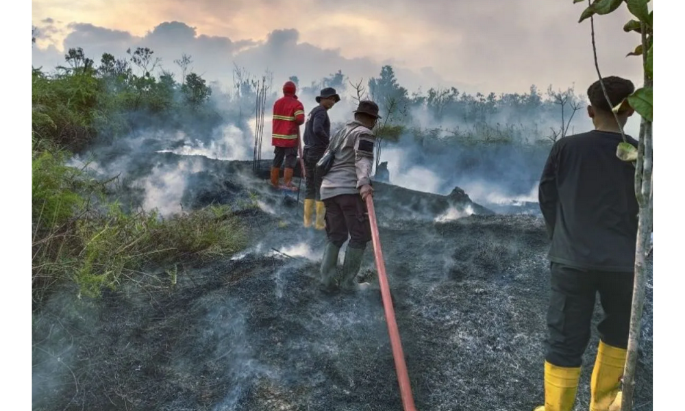 Karhutla Meluas di Natuna, Ratusan Hektare Lahan Terbakar Akibat El Nino