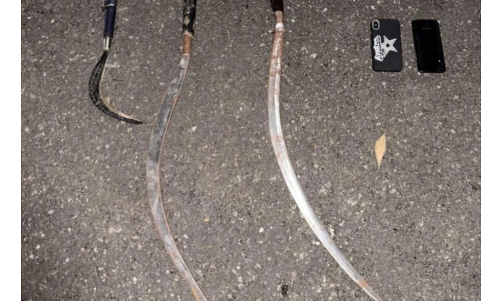 Legislator DKI Desak Penindakan Tegas Premanisme dan Tawuran di Jakarta