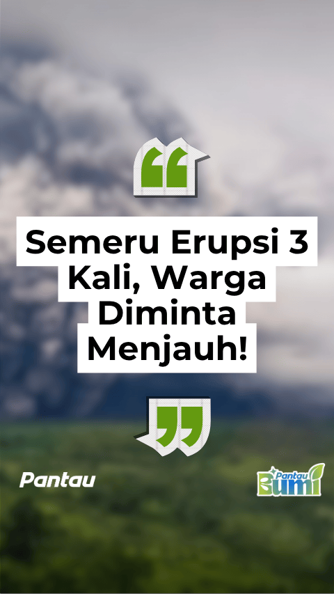 SEMERU ERUPSI 3 KALI