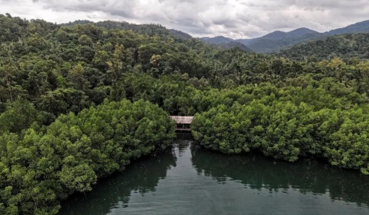 Permenhut 6/2026 Dinilai Perkuat Stabilitas dan Kepercayaan Pengusaha dalam Proyek Karbon Nasional