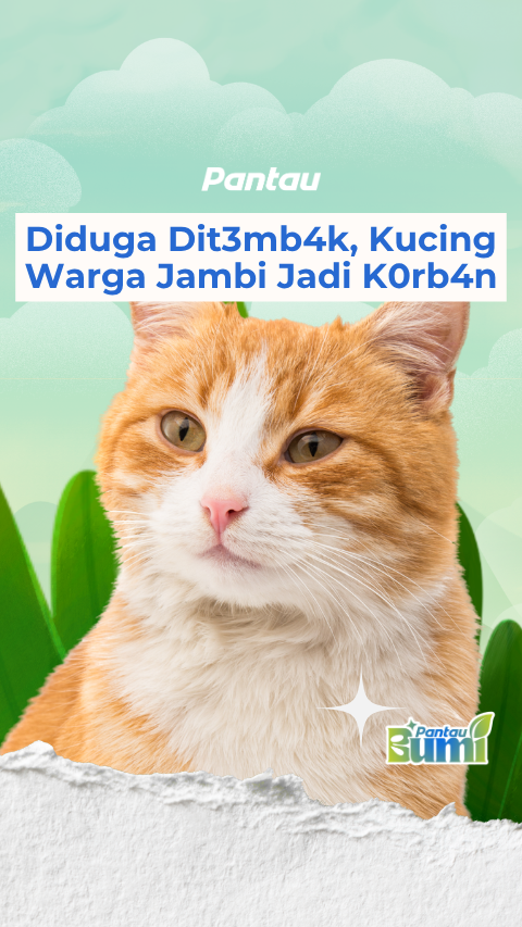 KUCING JAMBI DIDUGA DITEMBAK