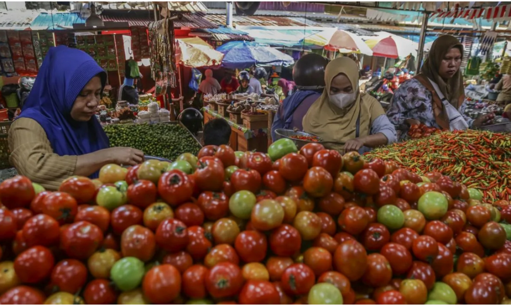 Manfaat Tomat untuk Kulit Terungkap, Peneliti Stanford Sebut Likopen Lebih Optimal Diserap Jika Dimasak