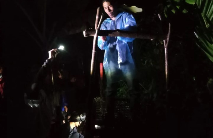 BKSDA Pasang Kandang Jebak untuk Evakuasi Harimau Sumatera yang Kerap Muncul di Permukiman Agam