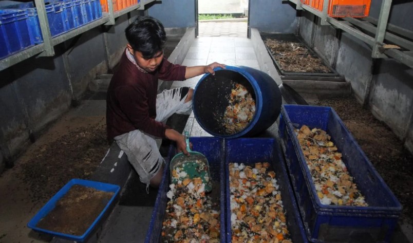 BRIN Dorong Inovasi Pengolahan Limbah MBG Jadi Energi dan Produk Bernilai Ekonomi di Jakarta