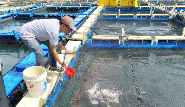 Nelayan Pulau Kundur Mulai Bangun Sumber Ekonomi Baru di Luar Hasil Laut