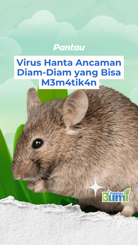 VIRUS HANTA ANCAMAN DIAM DIAM YANG BISA MEMATIKAN