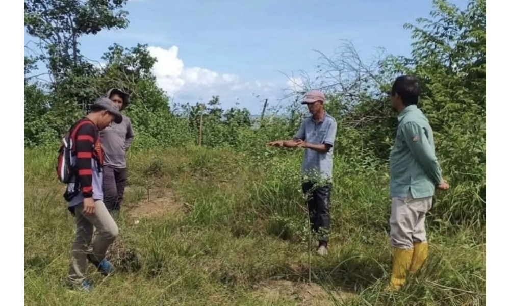 Dishut Kalsel Tuntaskan Rehabilitasi Hutan 148,5 Hektare pada Program FOLU Net Sink 2030