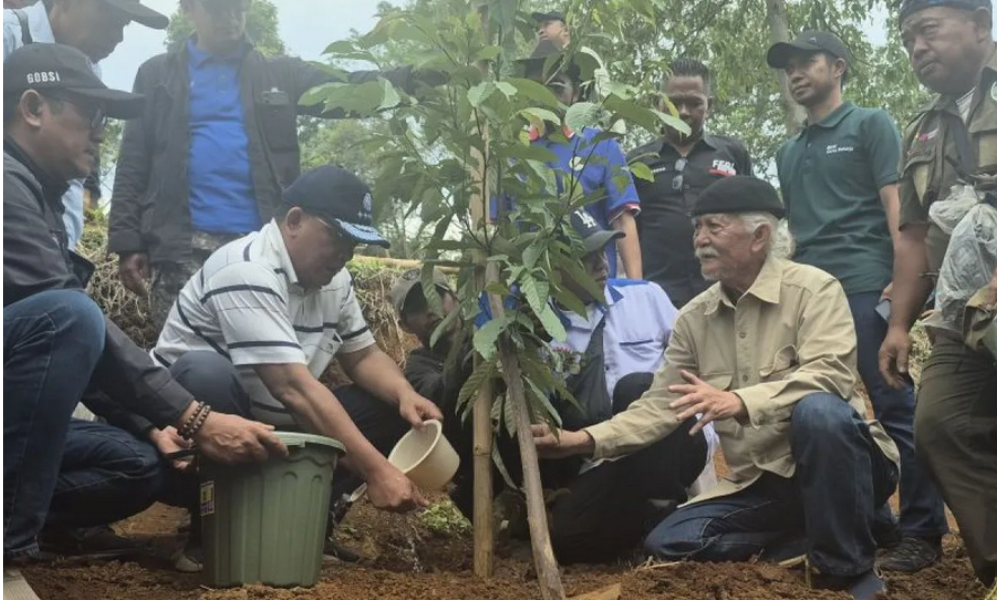 KLH dan Buruh Tanam 12 Ribu Pohon di Hulu Bandung untuk Cegah Banjir