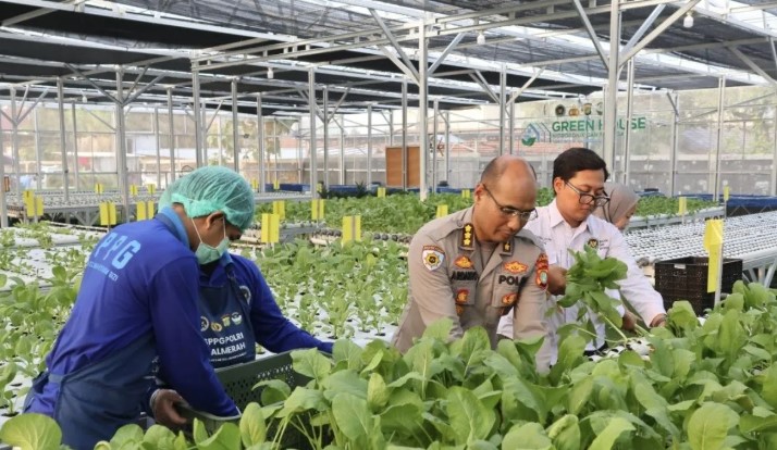 SPPG Polda Metro Jaya Panen Sawi dan Ikan untuk Penuhi Menu Bergizi 2.529 Penerima Manfaat