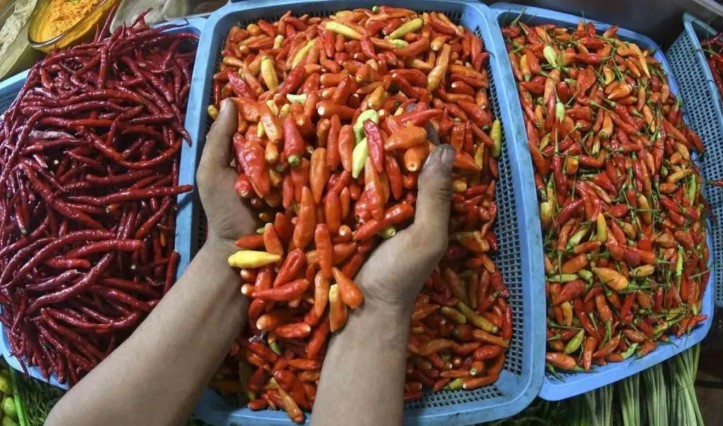 Harga Cabai Rawit Tembus Rp74 Ribu per Kg, Telur Ayam Rp41.850 Menurut PIHPS