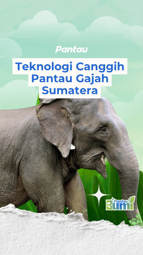 TEKNOLOGI CANGGIH PANTAU GAJAH SUMATERA