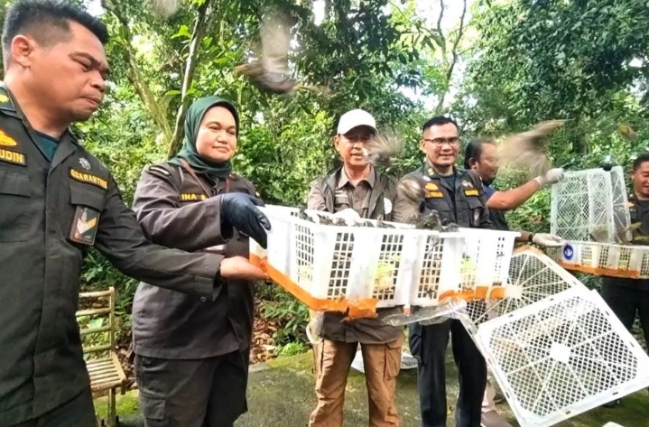 Balai Karantina NTB Lepasliarkan 1.392 Ekor Burung Hasil Gagalan Perdagangan Ilegal
