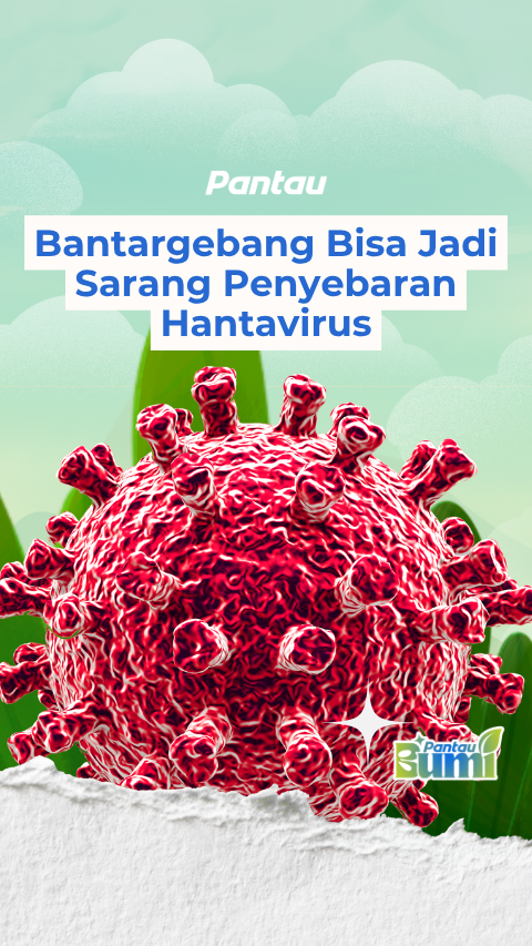 BANTAR GERBANG BISA JADI SARANG PENYEBARAN HANTIVIRUS