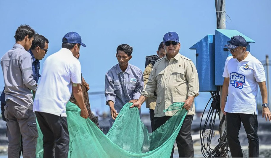 Presiden Prabowo Menilai Tambak Udang Modern Kebumen Sangat Menjanjikan dengan Potensi Produksi Rp134,4 Miliar per Tahun