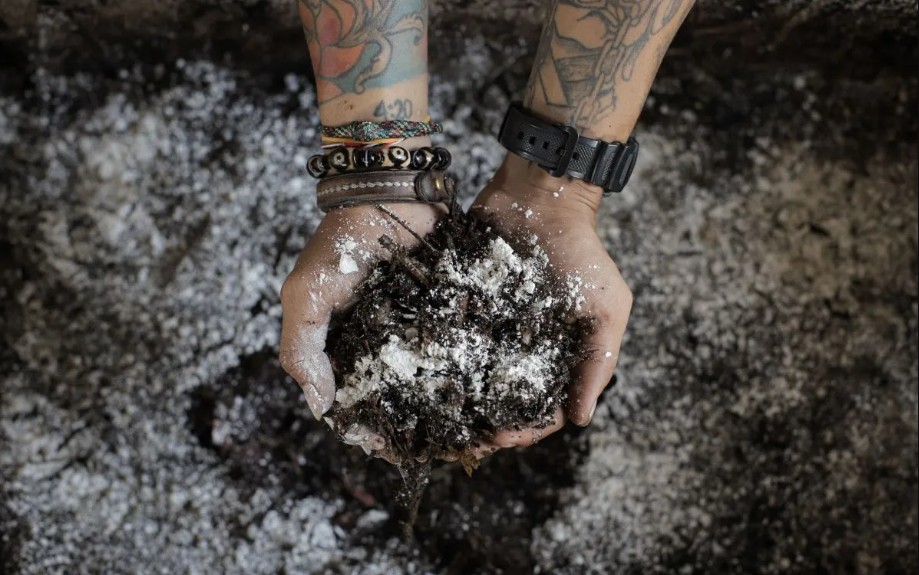 Peneliti BRIN Mengembangkan Minyak Bernilai Tinggi dari Limbah Ampas Kopi untuk Industri Pangan dan Kosmetik