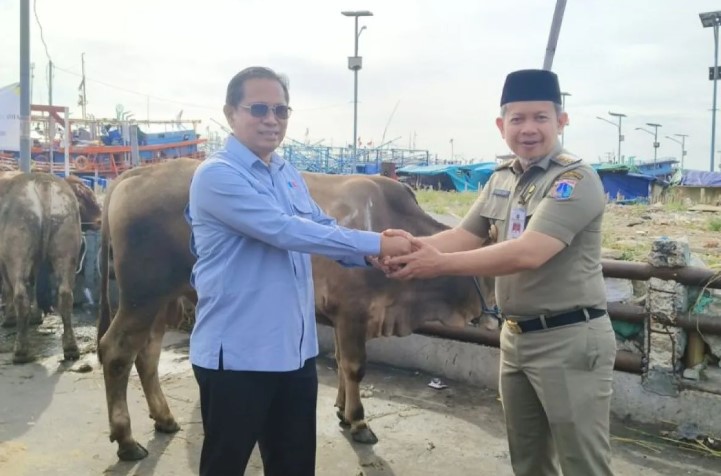 PT JOE Salurkan Hewan Kurban untuk Warga Kepulauan Seribu Jelang Idul Adha