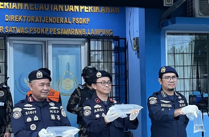 KKP Sebut Benih Lobster Ilegal yang Diamankan di Lampung Bernilai Rp4,6 Miliar