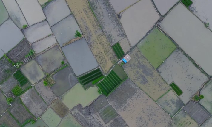 Wamentan Sebut Program Cetak Sawah Jadi Investasi Jangka Panjang Ketahanan Pangan