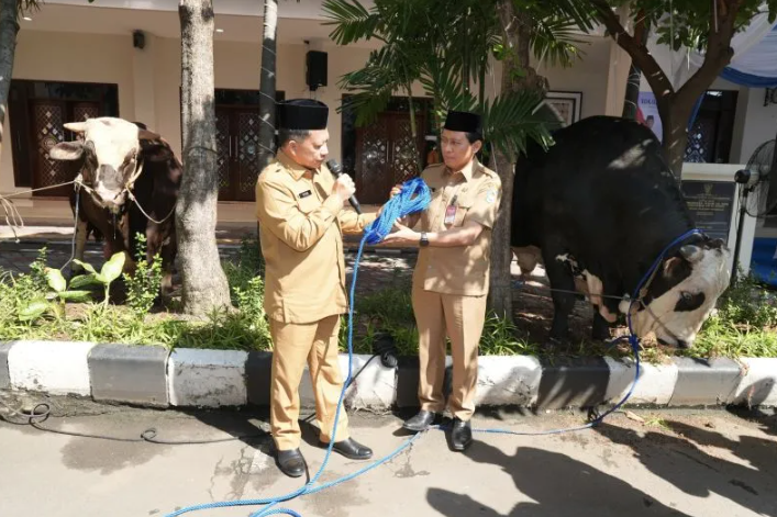 Mendagri Tito Karnavian Menyerahkan 360 Hewan Kurban Kemendagri dan BNPP untuk Masyarakat pada Idul Adha 1447 H