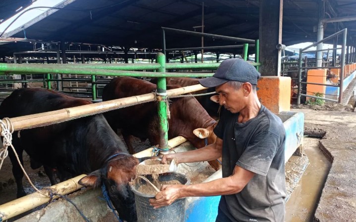 Pemkot Jakarta Timur Mengimbau Warga Jaga Kebersihan Saat Penyembelihan Hewan Kurban