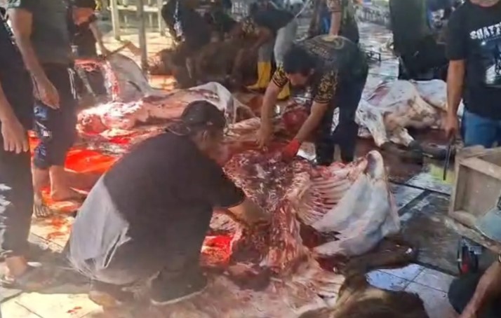 KPKP Jakarta Timur Periksa Organ Dalam Hewan Kurban di Masjid At-Tin