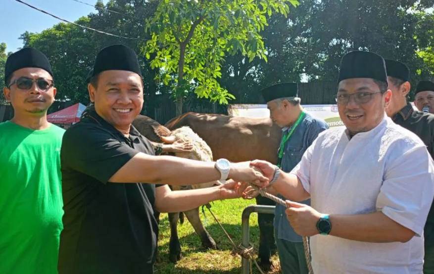 PWNU DKI Jakarta dan Dharma Jaya Terapkan Sistem Modern dalam Penyembelihan 13 Hewan Kurban di Idul Adha 1447 H
