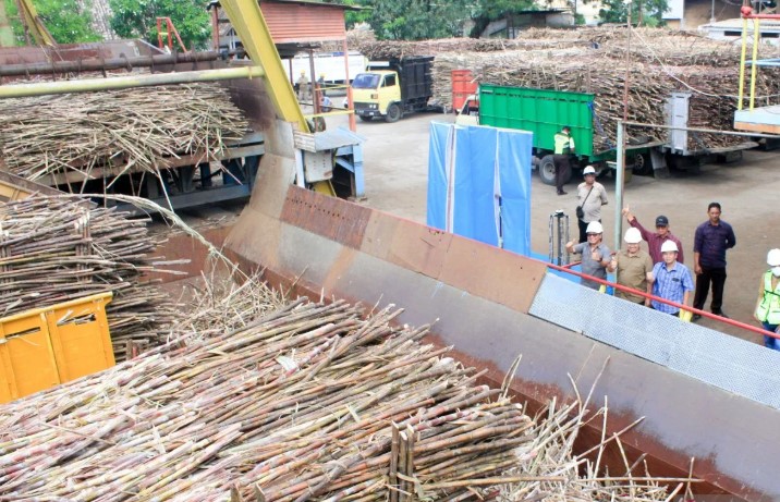PG Assembagoes Situbondo Targetkan Giling Tebu 540 Ribu Ton untuk Dukung Swasembada Gula