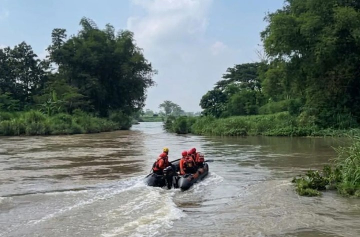 Krisis Oksigen di Sungai Ancam Kehidupan Ikan dan Keseimbangan Ekosistem Air Tawar