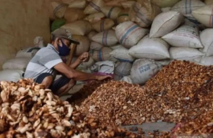 Kemendag Sebut Penutupan Selat Hormuz Picu Lonjakan Harga Biji Kakao pada Juni 2026